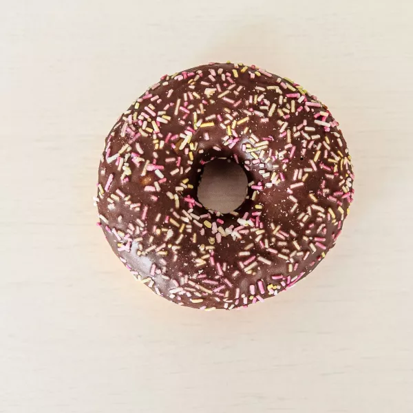 a chocolate frosted donut with sprinkles