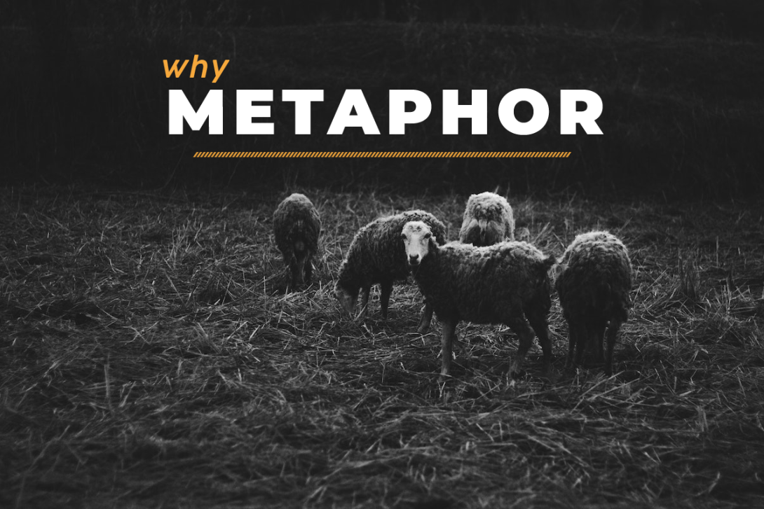 Why metaphor?